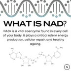 what is nad